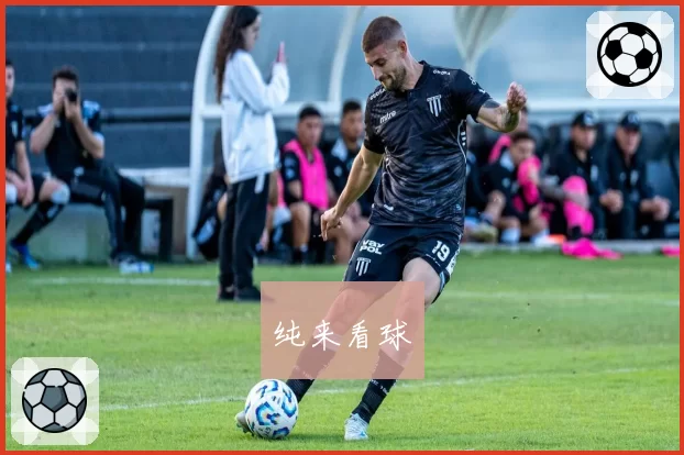 纯来看球