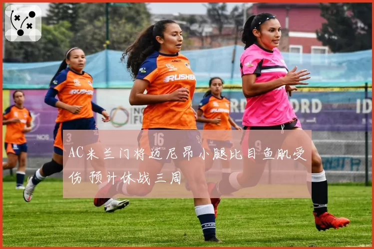 AC米兰门将迈尼昂小腿比目鱼肌受伤 预计休战三周