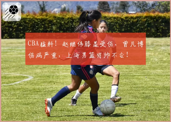 CBA猛料！赵继伟膝盖受伤，曾凡博伤病严重，上海男篮将帅不合！